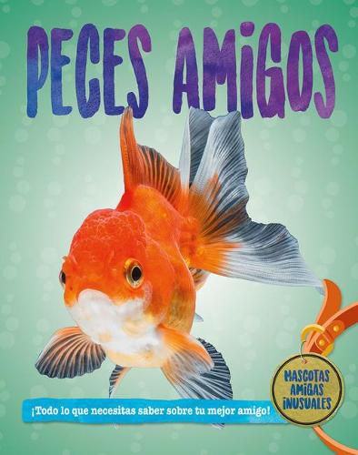 Cover image for Peces Amigos