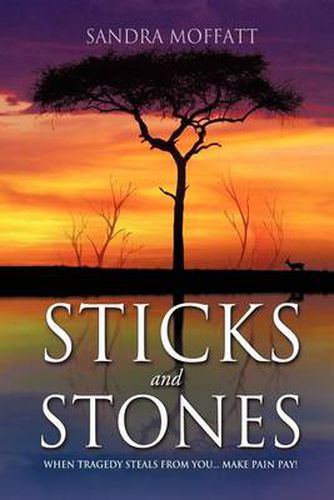 Cover image for Sticks and Stones