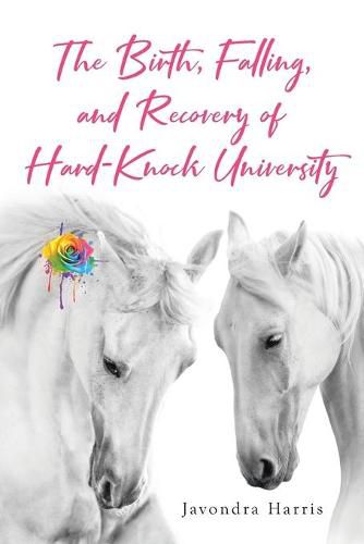 Cover image for The Birth, Falling, and Recovery of Hard-Knock University