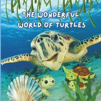 Cover image for The Wonderful World of Turtles