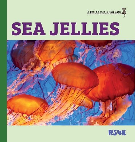 Cover image for Sea Jellies (hardcover)