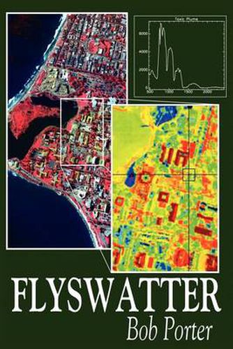 Cover image for Flyswatter