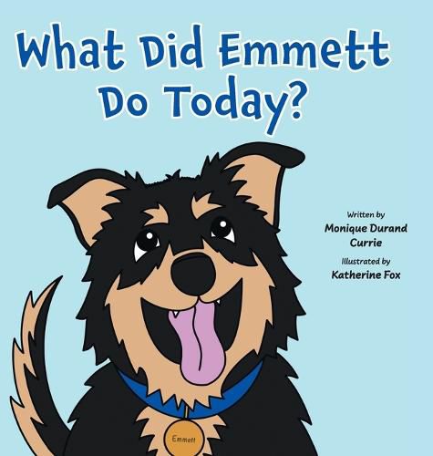 Cover image for What Did Emmett Do Today?