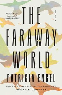 Cover image for The Faraway World: Stories