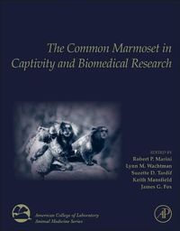 Cover image for The Common Marmoset in Captivity and Biomedical Research