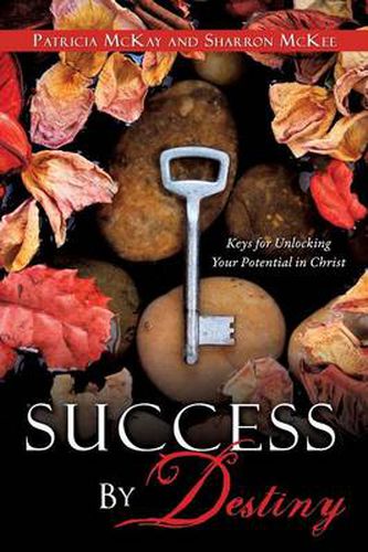 Cover image for Success by Destiny