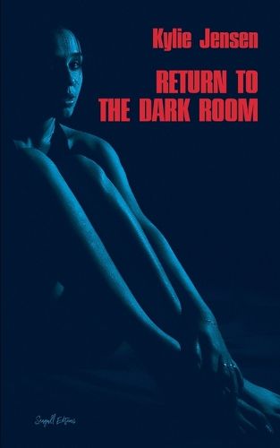 Cover image for Return to the Dark Room