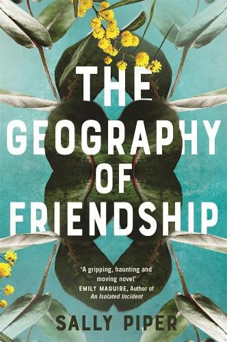 Cover image for The Geography of Friendship