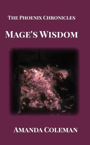 Cover image for Mage's Wisdom