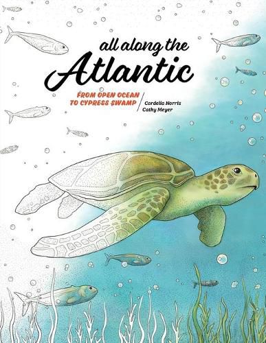 Cover image for All Along the Atlantic: From Open Ocean to Cypress Swamp