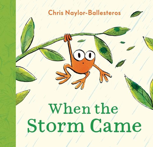 Cover image for When the Storm Came