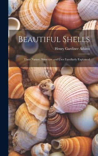 Beautiful Shells