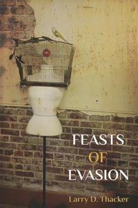 Cover image for Feasts of Evasion