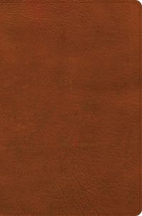 Cover image for CSB Giant Print Reference Bible, Digital Study Edition, Burnt Sienna Leathertouch, Indexed