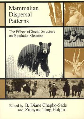 Cover image for Mammalian Dispersal Patterns: The Effects of Social Structure on Population Genetics