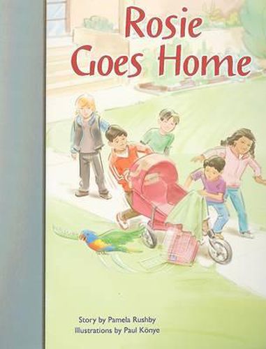Cover image for Rigby PM Stars Bridge Books: Individual Student Edition Silver Rosie Goes Home