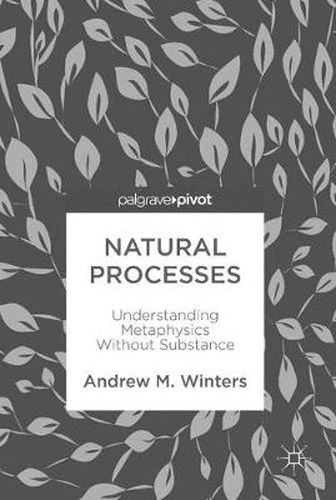 Cover image for Natural Processes: Understanding Metaphysics Without Substance