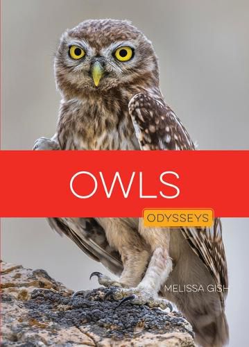 Cover image for Owls