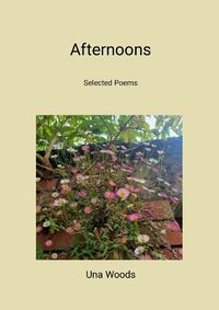 Cover image for afternoons (New edition)