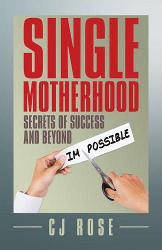 Cover image for Single Motherhood: Secrets of Success and Beyond