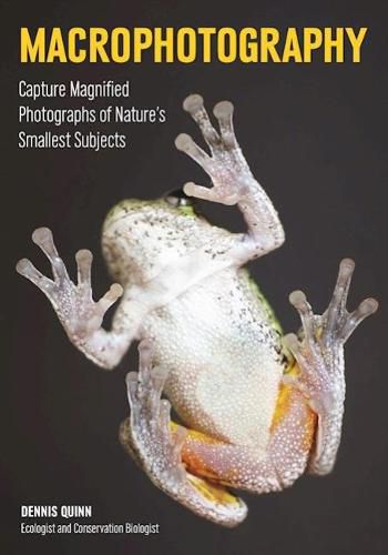 Cover image for Macrophotography: Capture Magnified Photographs of Nature's Smallest Subjects