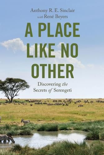 Cover image for A Place like No Other