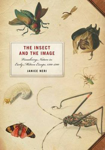 Cover image for Insect and the Image: Visualizing Nature in Early Modern Europe, 1500-1700