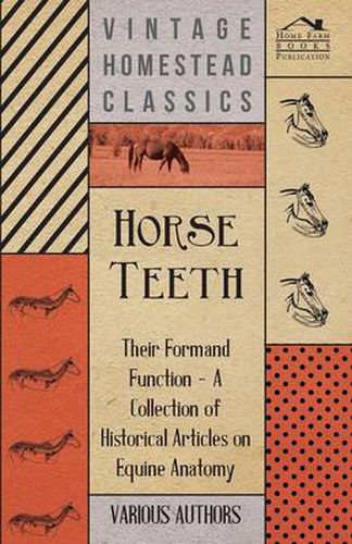 Cover image for Horse Teeth - Their Form and Function - A Collection of Historical Articles on Equine Anatomy