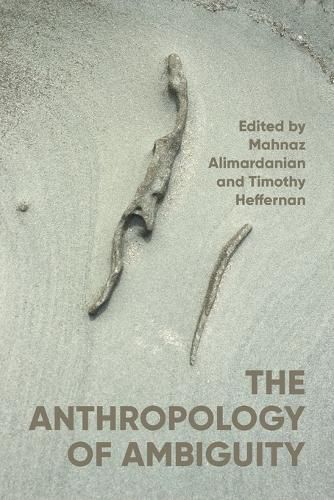 Cover image for The Anthropology of Ambiguity