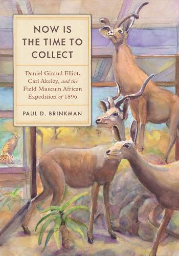 Cover image for Now Is the Time to Collect