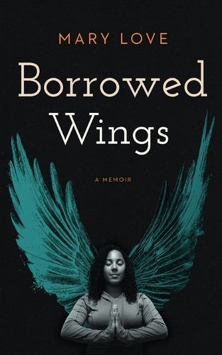 Cover image for Borrowed Wings