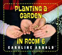 Cover image for Planting a Garden in Room 6: From Seeds to Salad