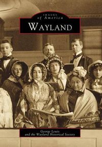 Cover image for Wayland