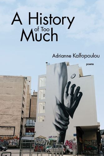 Cover image for A History of Too Much