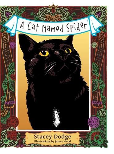 Cover image for A Cat Named Spider