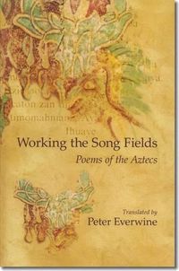 Cover image for Working the Song Fields