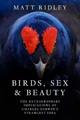 Birds, Sex and Beauty