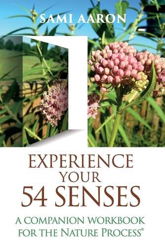 Cover image for Experience Your 54 Senses: A Companion Workbook For The Nature Process(R)