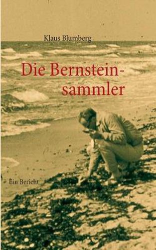 Cover image for Die Bernsteinsammler: Ein Bericht