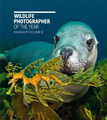 Cover image for Wildlife Photographer of the Year: Highlights Volume 8