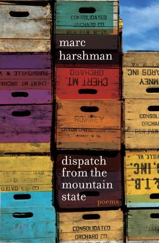 Cover image for Dispatch from the Mountain State