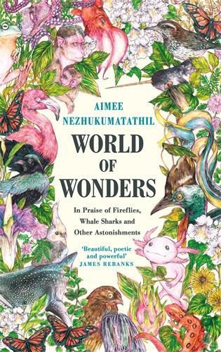 Cover image for World of Wonders