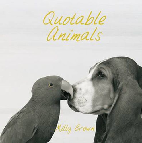 Cover image for Quotable Animals