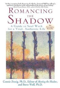 Cover image for Romancing the Shadow: A Guide to Soul Work for a Vital, Authentic Life