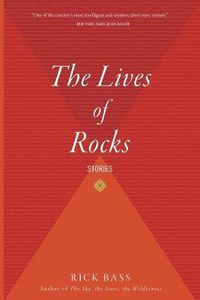 Cover image for The Lives of Rocks