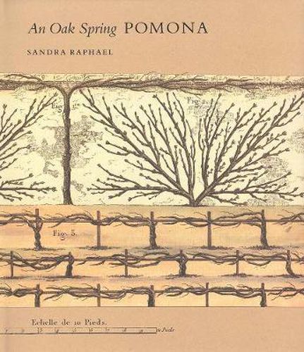 Cover image for An Oak Spring Pomona: A Selection of the Rare Books on Fruit in the Oak Spring Garden Library