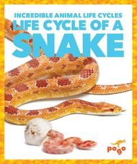 Cover image for Life Cycle of a Snake