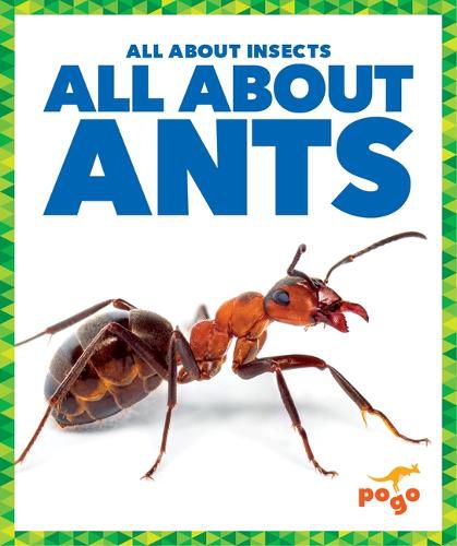 Cover image for All about Ants