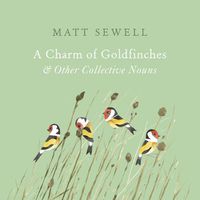 Cover image for A Charm of Goldfinches and Other Collective Nouns