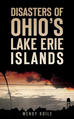 Cover image for Disasters of Ohio S Lake Erie Islands